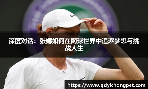 深度对话：张娜如何在网球世界中追逐梦想与挑战人生