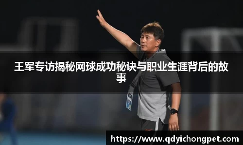 王军专访揭秘网球成功秘诀与职业生涯背后的故事