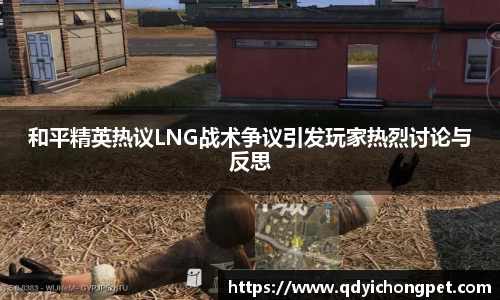 和平精英热议LNG战术争议引发玩家热烈讨论与反思