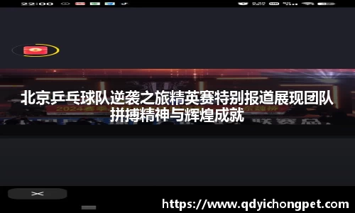 北京乒乓球队逆袭之旅精英赛特别报道展现团队拼搏精神与辉煌成就
