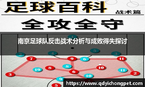 南京足球队反击战术分析与成败得失探讨