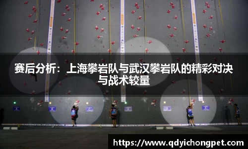 赛后分析：上海攀岩队与武汉攀岩队的精彩对决与战术较量