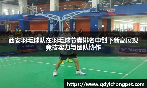 西安羽毛球队在羽毛球节奏排名中创下新高展现竞技实力与团队协作